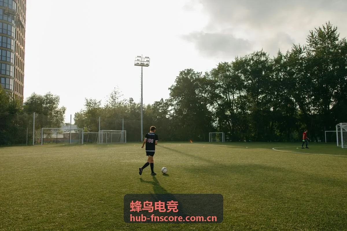 蜂鸟电竞战队排名与数据分析