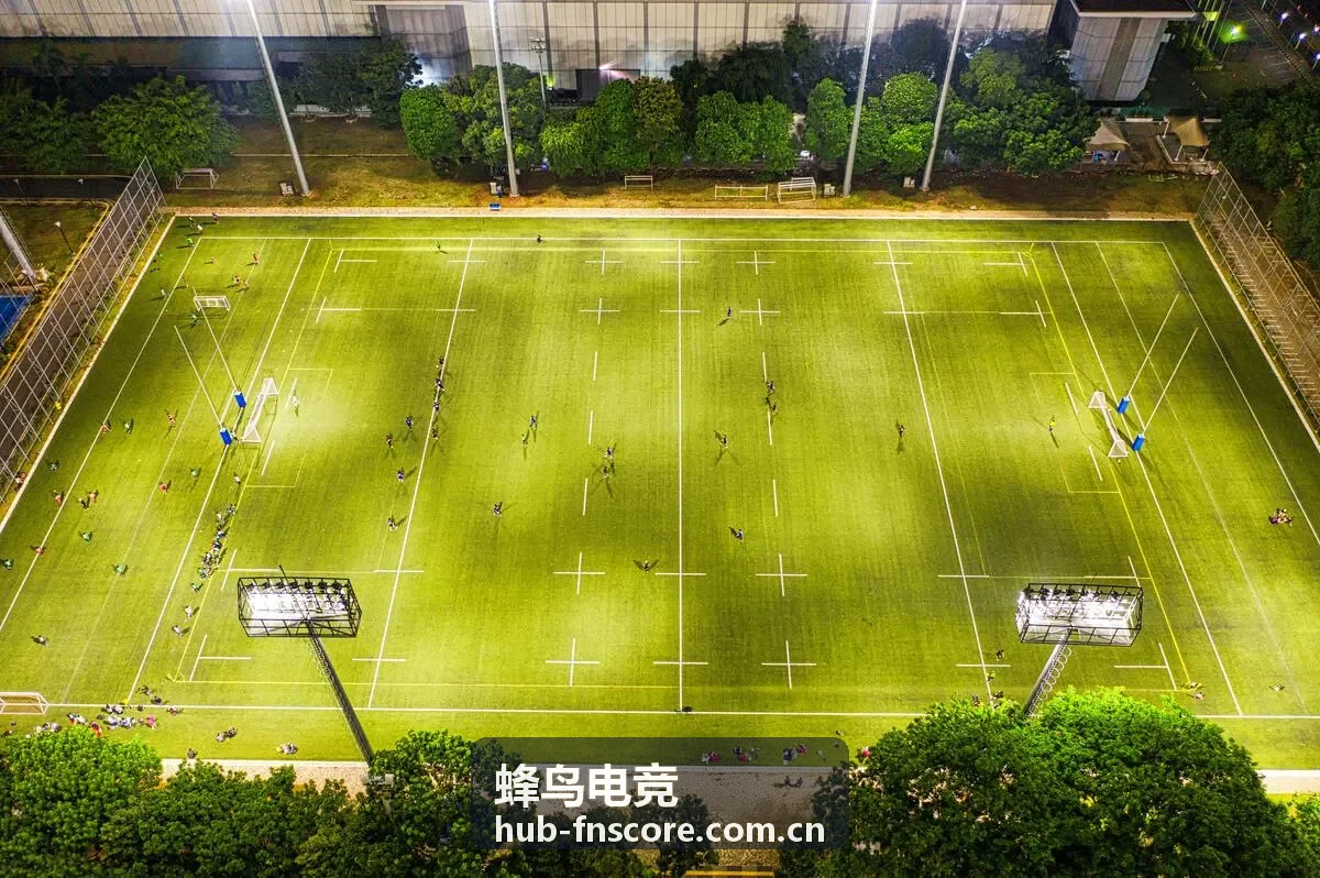 蜂鸟电竞攻略教学辅助视野布控